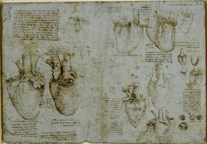 Secretum: Leonardo da Vinci e l’anatomia dell’anima